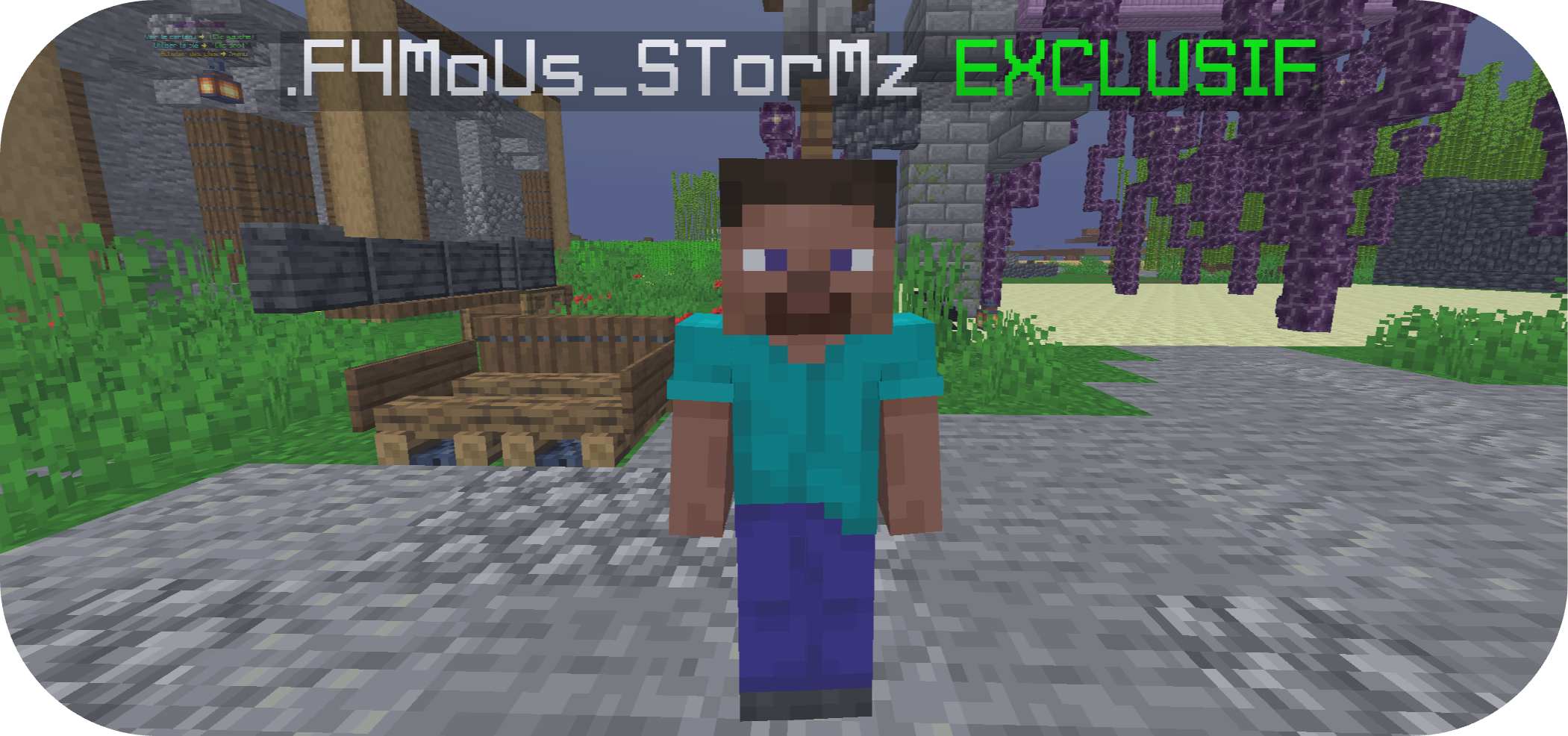 Custom Tags Exclusif